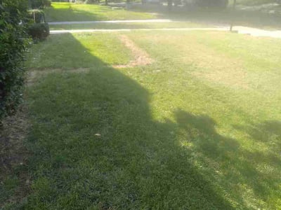 Lawn Care service in North Brunswick, 08902