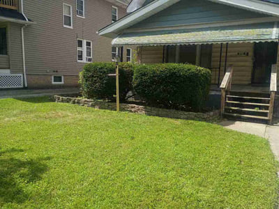 Lawn Care service in ,