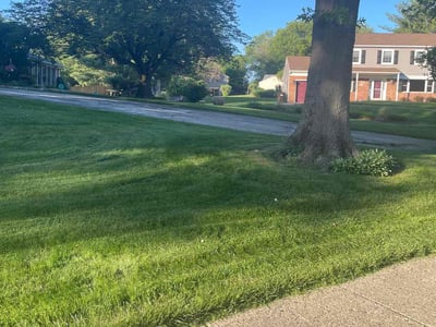 Lawn Care service in Norristown, 19401