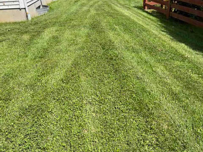Lawn Care service in West Chester, 45069