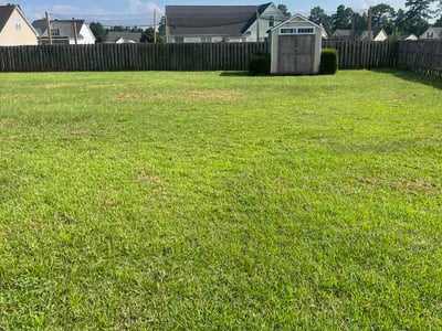 Lawn Care service in Venice, 90291