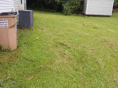 Lawn Care service in Venice, 90291