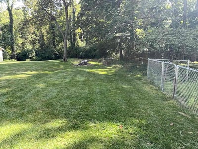 Lawn Care service in Piqua, 45356