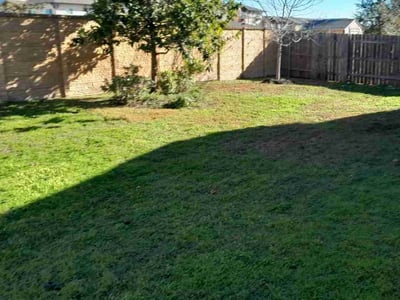 Lawn Care service in Pacific Beach, 92109