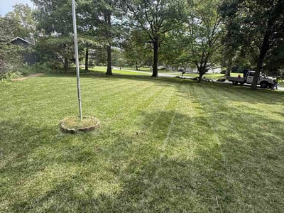 Lawn Care service in Mount Gilead, 43338