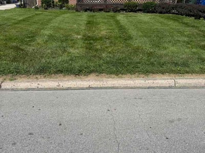 Lawn Care service in Mount Gilead, 43338