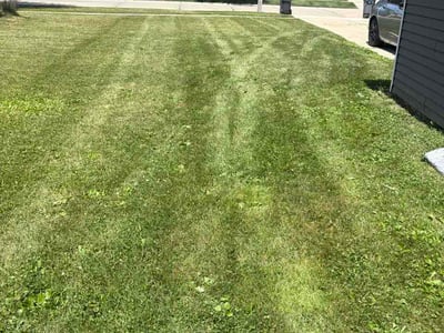 Lawn Care service in Beachwood, 44122