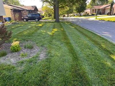 Lawn Care service in Wright City, 63390