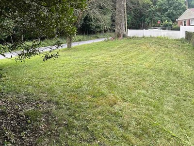 Lawn Care service in Ambler, 19002