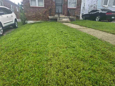Lawn Care service in Wright City, 63390