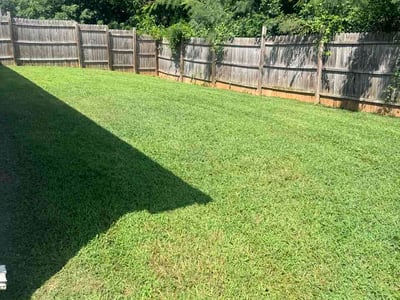 Lawn Care service in Jamestown, 27282