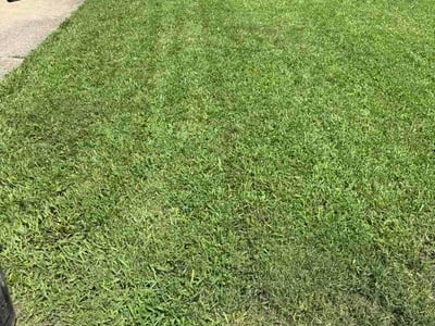 Lawn Care service in Granite City, 65401
