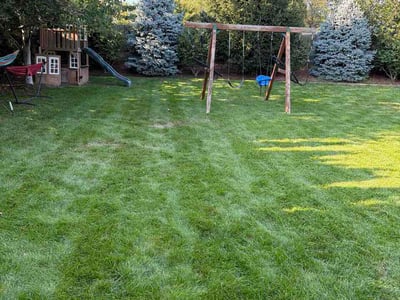 Lawn Care service in Granite City, 65401