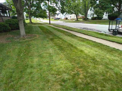 Lawn Care service in Sanborn, 14132