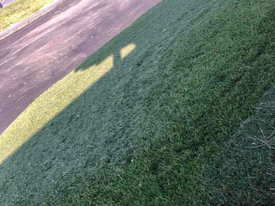 Lawn Care service in Republic, 65738