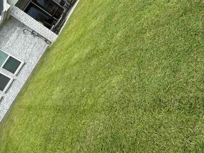 Lawn Care service in Visalia, 93291