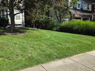 Lawn Care service in Powell, 43065