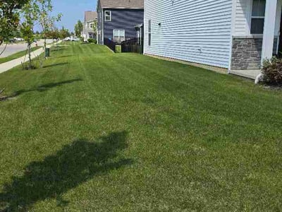 Lawn Care service in Powell, 43065