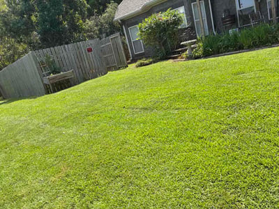 Lawn Care service in Clay, 35126