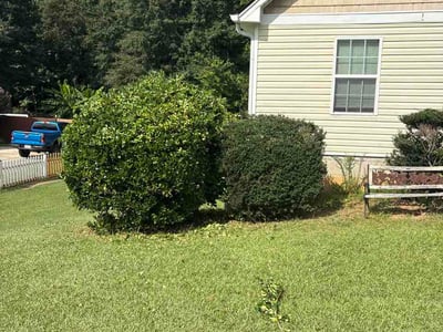 Lawn Care service in Bergenfield, 07621