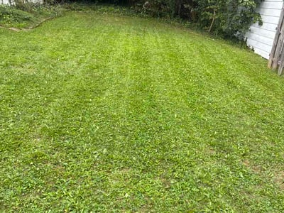 Lawn Care service in Hinckley, 44233
