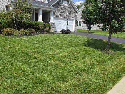 Lawn Care service in Lewis Center, 43035
