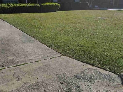 Lawn Care service in Sunnyvale, 94087