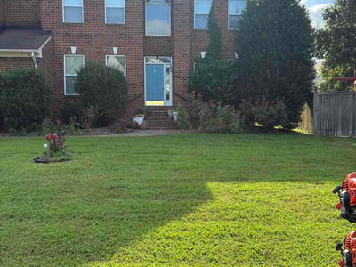 Lawn Care service in Tehachapi, 93561
