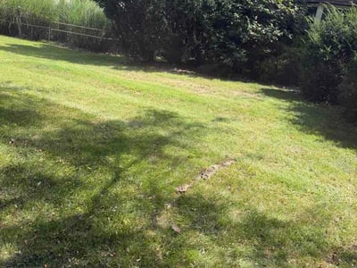 Lawn Care service in Lancaster, 43130