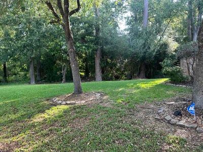 Lawn Care service in Torrance, 90503