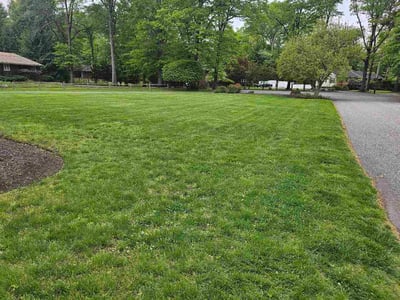 Lawn Care service in Tuckerton, 08087