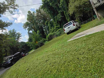 Lawn Care service in Tehachapi, 93561