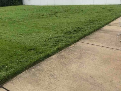 Lawn Care service in Clayton, 63105