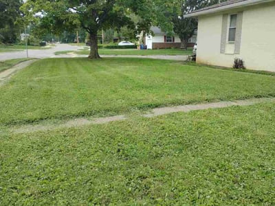 Lawn Care service in Gahanna, 43230
