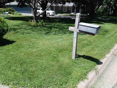 Lawn Care service in Roseville, 55113