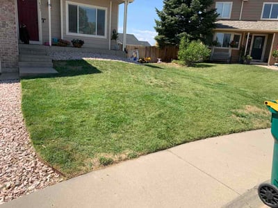 Lawn Care service in Centennial, 80112
