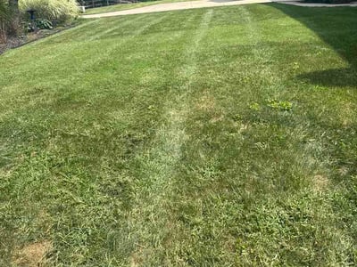 Lawn Care service in Loveland, 45140