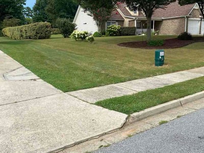 Lawn Care service in Spring Valley, 91977