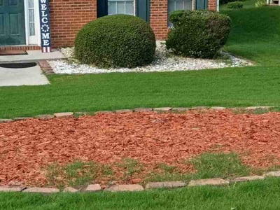Lawn Care service in Spring Valley, 91977
