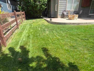 Lawn Care service in Golden, 80401