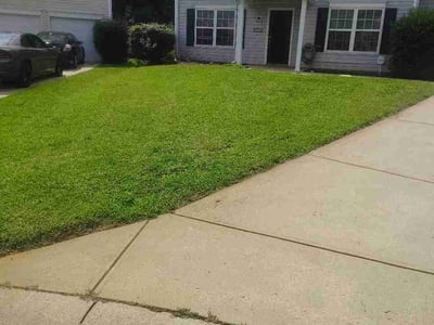 Lawn Care service in Rock Hill, 29730