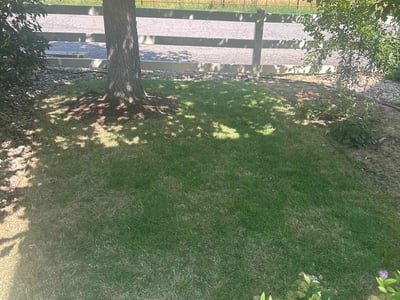 Lawn Care service in Golden, 80401
