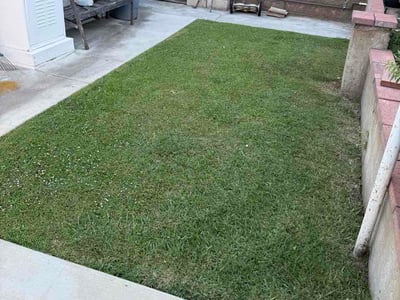 Lawn Care service in Encino, 91316