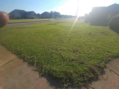 Lawn Care service in Toney, 35773
