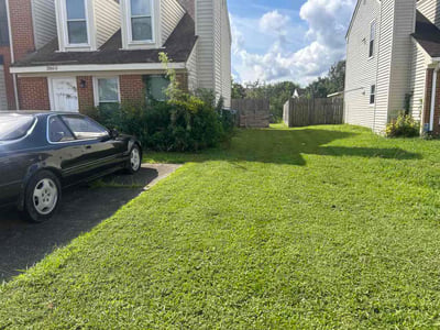 Lawn Care service in La Mesa, 91942