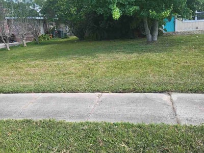 Lawn Care service in Carlsbad, 92008