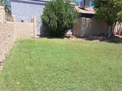 Lawn Care service in ,