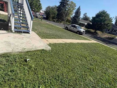 Lawn Care service in Broomfield, 80020