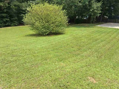 Lawn Care service in Homewood, 35209