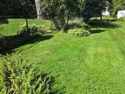Lawn Care service in Rocky River, 44116